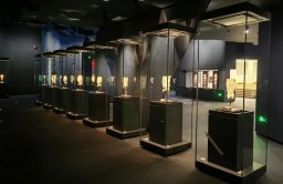 ProSight Anti-reflective Glass 1